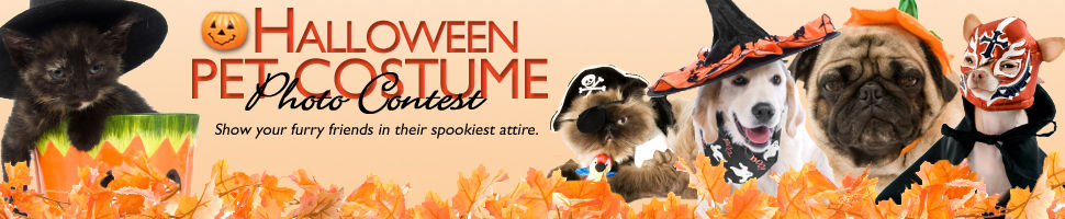 Halloween Pet Photo Contest 2009