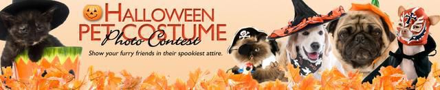 Halloween Pet Photo Contest 2009