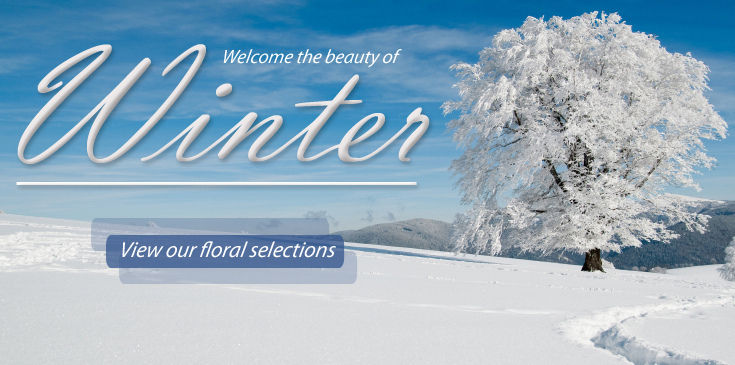 Winter Items - 