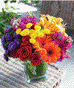 Our Blossoms Catalogue