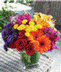 Our Blossoms Catalogue