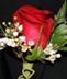 Dance Flowers and Special Occasions