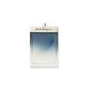Ferragamo Subtil Men's Fragrance