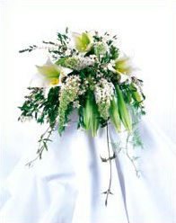 Weddings at Nanz & Kraft