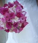 Shades of Pink