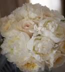 White and Cream