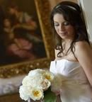 White Garden Roses