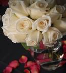 White Rose Bridal