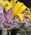 Lavendar and Yellow