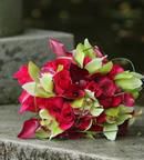 Orchid Bridal (detail)