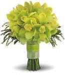 Glorious Yellow
