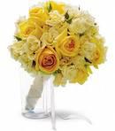 Quaint Yellow