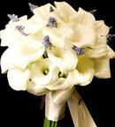 White with lavendar accents