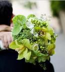 Green with white accents