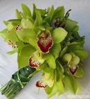Green Orchids