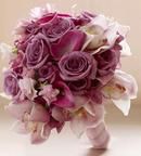 Lavendar and Pink