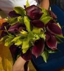Orchids and Mini Calla lilies