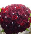 Red Roses