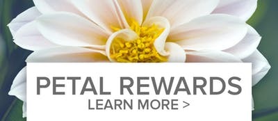 Flower Reward Points