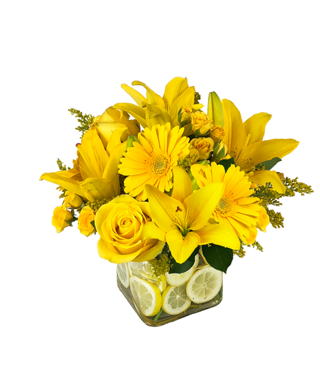 Citrus Sunshine