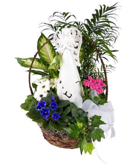 Angel's Light European Garden