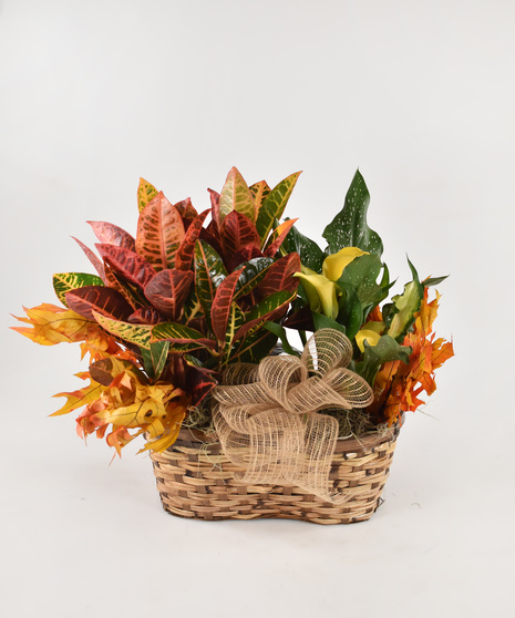 Autumn Delight Basket