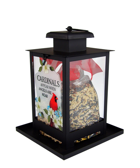 Bird Feeder 