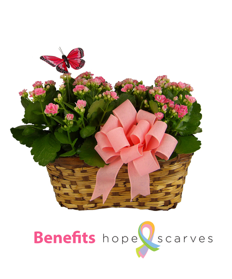 Breast Cancer Awareness Month Calandiva/Kalanchoe Basket
