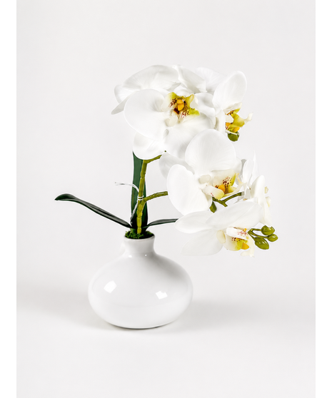 Small Silk Orchid (Silk/Artificial)