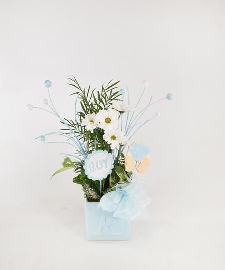 Baby Boy Planter