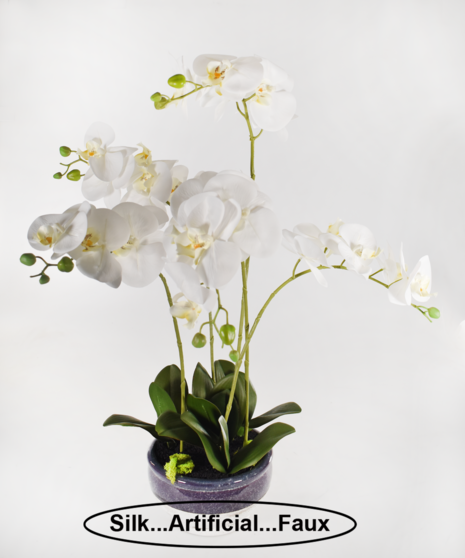 Orchid Surprise (Silk/Artificial)