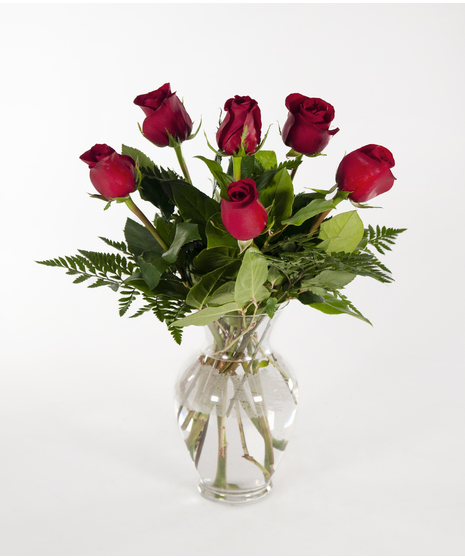 6 Mother's Day Roses