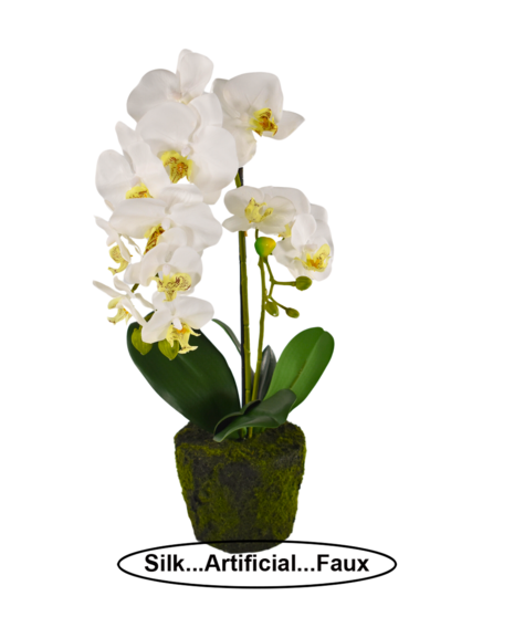 Orchid With Moss (Silk/Artificial)
