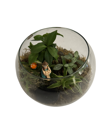 Fairy Garden Terrarium