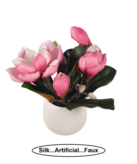 Silk Magnolia