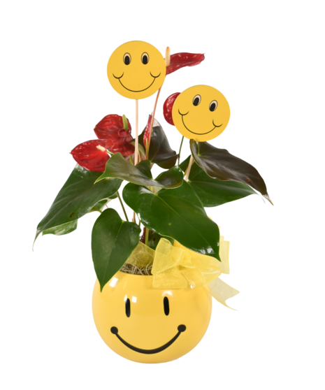 SMILEY