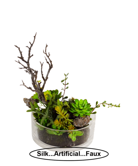 Silk Succulent Garden (Silk/Artificial)