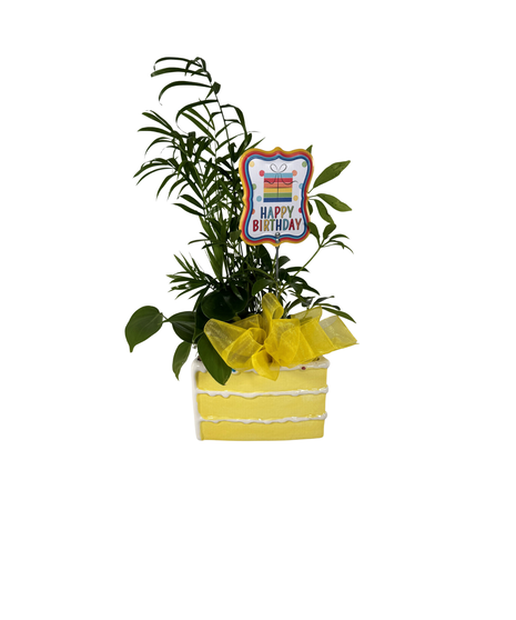 Piece of Cake Planter