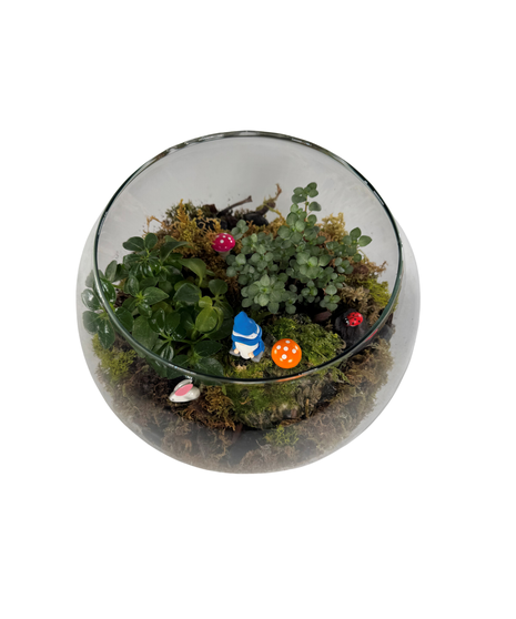 Gnome Home Terrarium