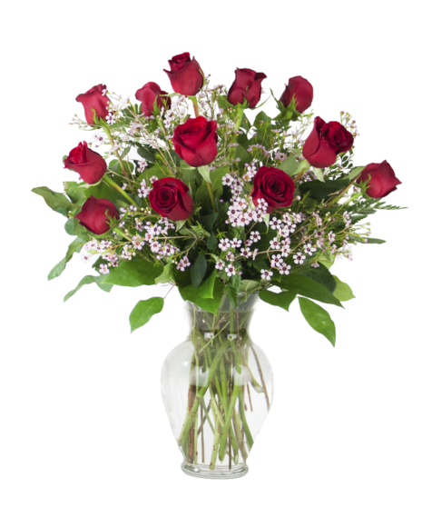 Classic Rose Dozen