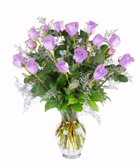 18 Lavender Roses for the price of 12!