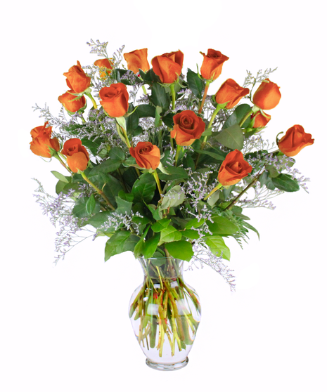 18 Orange Roses for the price of 12!
