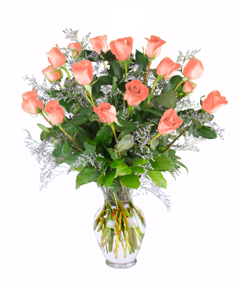 18 Peach Roses for the price of 12!