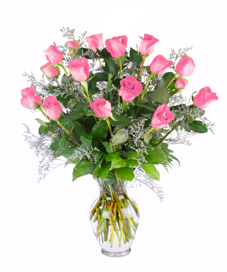 18 Pink Roses for the price of 12!