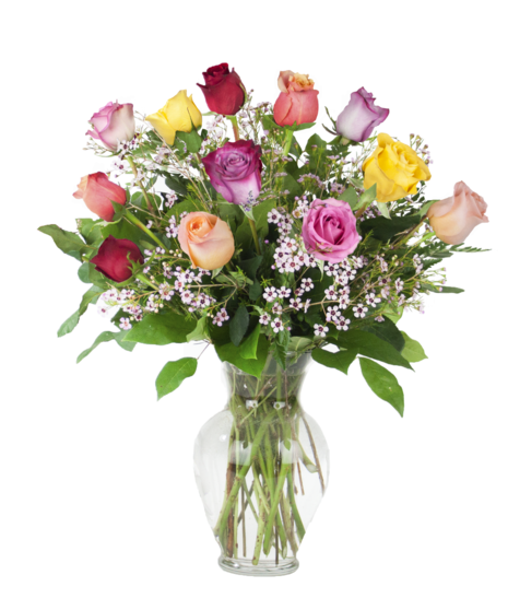 Classic Assorted Rose Dozen