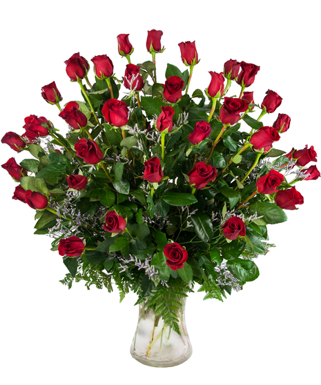 Mother's Day 48 Red Roses