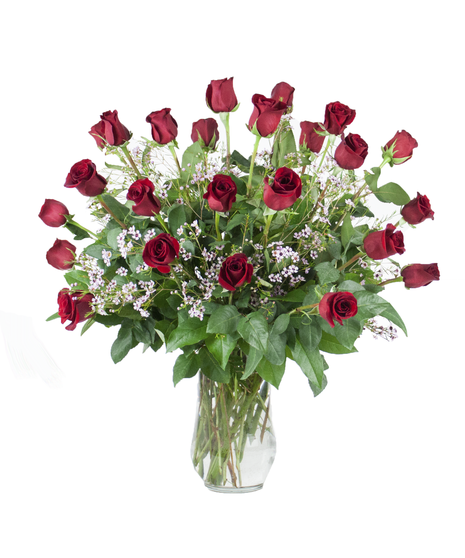 24 Classic Roses