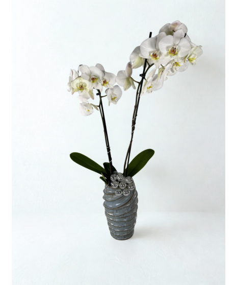 Hanukkah Inspiration