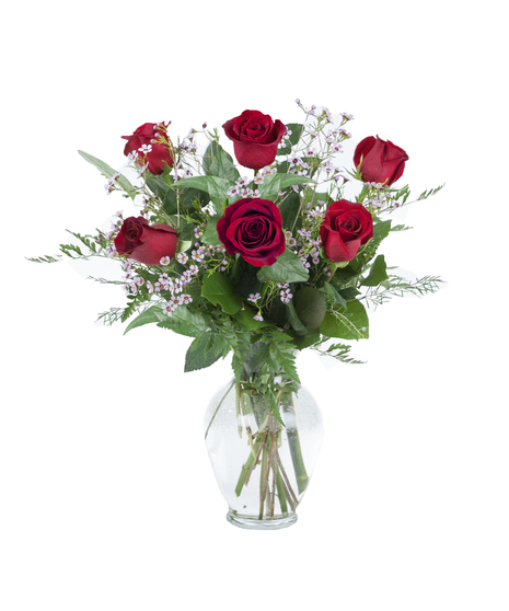 6 Red Roses Vased