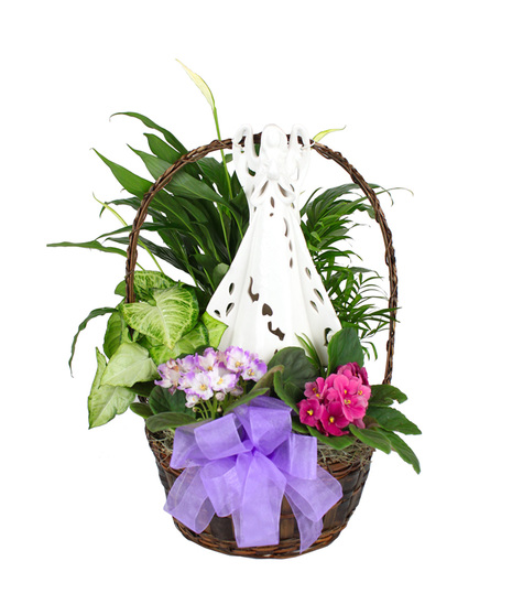 basket of foliage and blooming plants with lighted white ceramic angel